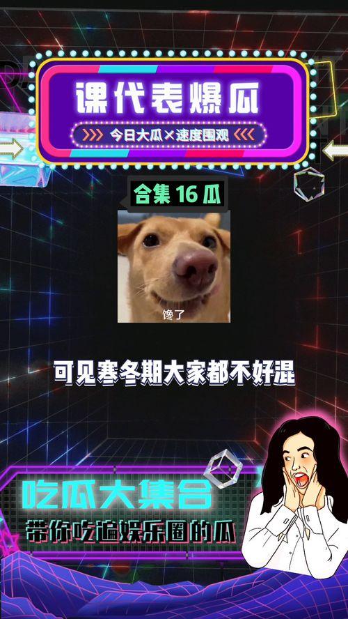 娱乐吃瓜全部,揭秘明星幕后故事，吃瓜群众狂欢盛宴
