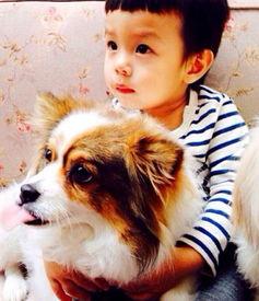 娱乐吃瓜小花和狗仔,小花与狗仔的甜蜜“追逐”记