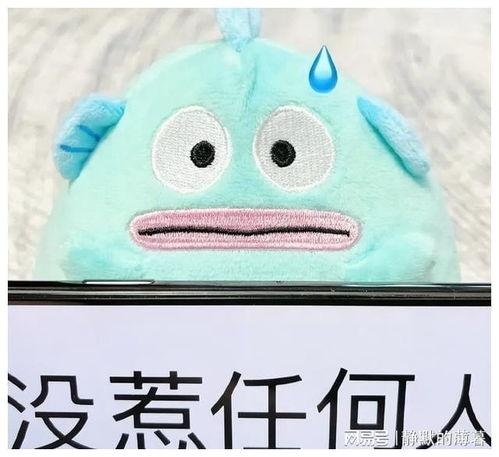 娱乐吃瓜小花和狗仔,小花与狗仔的甜蜜“追逐”记