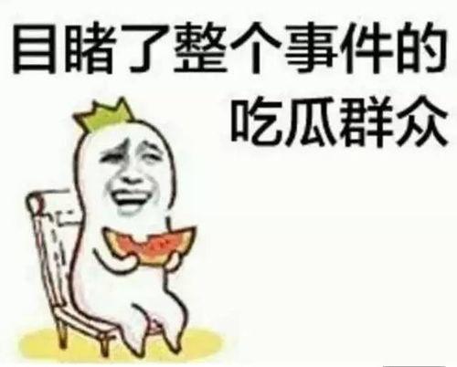 娱乐吃瓜兔子小说免费阅读,揭秘娱乐圈幕后故事