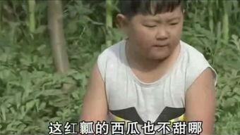 胖子娱乐吃瓜厅,揭秘娱乐圈幕后故事，带你领略明星们的真实生活