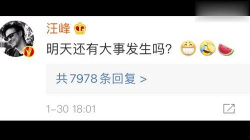 娱乐吃瓜网官网,揭秘娱乐圈最新热点，带你畅游八卦海洋