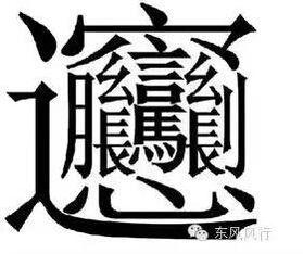 娱乐吃瓜君四字小花,娱乐吃瓜君揭秘娱乐圈小花背后的故事