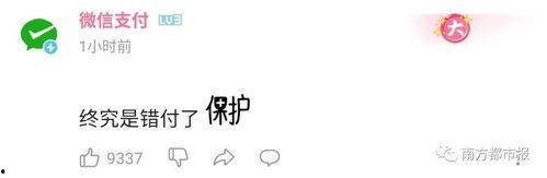 娱乐吃瓜酱励志语录,娱乐语录中的正能量启示