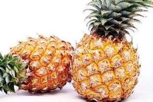 娱乐吃瓜小菠萝视频,揭秘娱乐圈那些吃瓜趣事