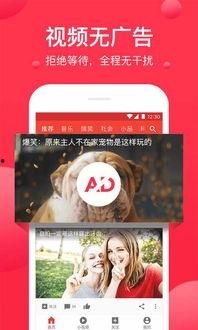 娱乐吃瓜小灵通小说下载,揭秘小说世界里的幕后故事