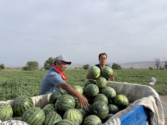 娱乐园吃瓜,揭秘明星幕后故事