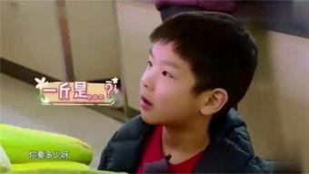 娱乐吃瓜橘子哥是谁呀,网络红人的崛起之路