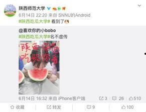 娱乐吃瓜酱大学,大学生活中的趣味瞬间