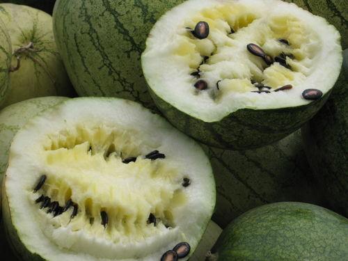 娱乐718吃瓜上不去了