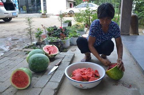 娱乐吃瓜酱爬泰山,攀登泰山，记录非凡之旅