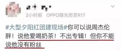 娱乐吃瓜报道文案短句,吃瓜群众热议的幕后故事