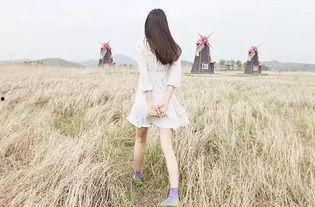 娱乐吃瓜酱背影,背后的故事与魅力