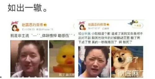 吃瓜吐槽娱乐圈文