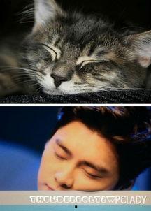 吃瓜少女猫娱乐