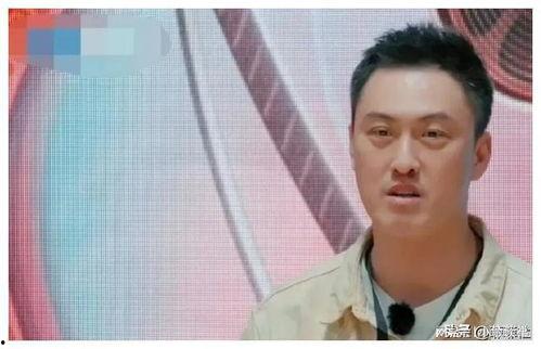 太子吃瓜娱乐圈,揭秘娱乐圈背后的秘密与风云