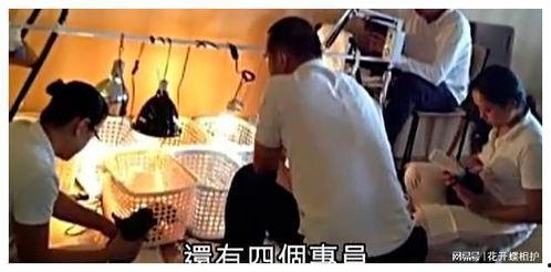 吃瓜娱乐追星是真的吗,吃瓜娱乐追星现象背后的真实面貌