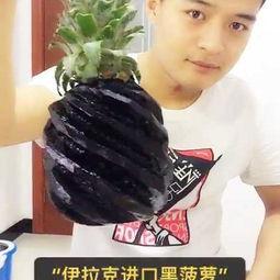 娱乐吃瓜酱胡说八道,揭秘娱乐圈背后的八卦风云