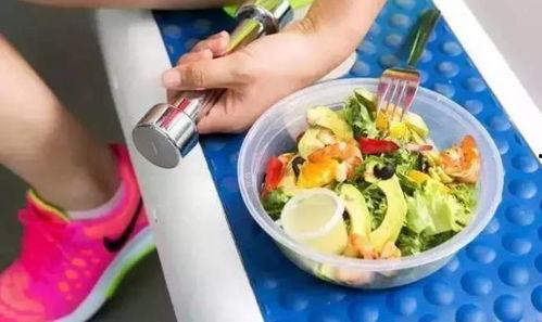 科学减肥娱乐吃瓜酱