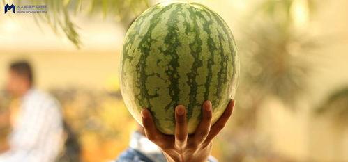 娱乐瓜吃瓜,明星们的幕后故事与甜蜜瓜料